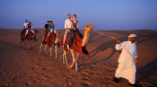 Sunset Desert Safari & Half-Day City Tour – Combo Saver