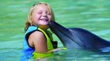  Dolphin Bay In-Water Experiences & Aquaventure Waterpark Admission