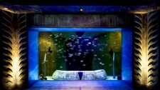 The Lost Chambers of Atlantis Aquarium Admission Tickets