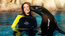 Sea Lion Point Experiences & Aquaventure Waterpark Admission