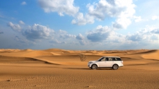  Luxury Conservation Drive with Refreshments at Al Maha Desert Resort