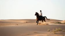  Desert Horse Riding at Mushrif Equestrian Park