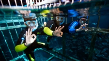  Cage Snorkelling Experience