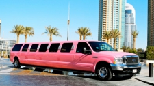  Limousine City Experience